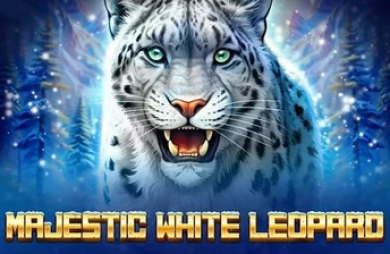 Majestic White Leopard