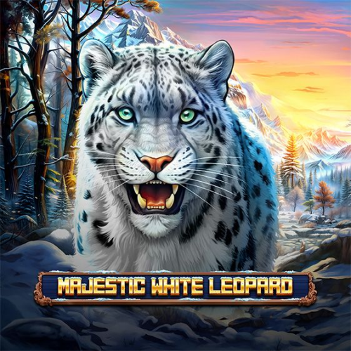 Majestic White Leopard