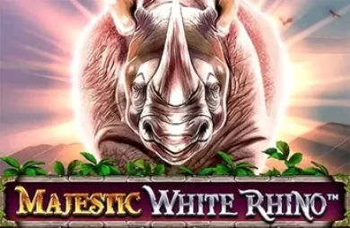 Majestic White Rhino