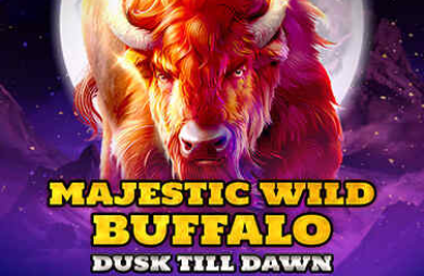 Majestic Wild Buffalo - Dusk Till Dawn