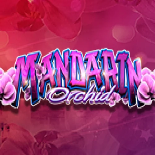 Mandarin Orchid