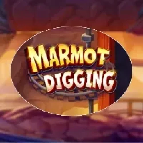 Marmot Digging
