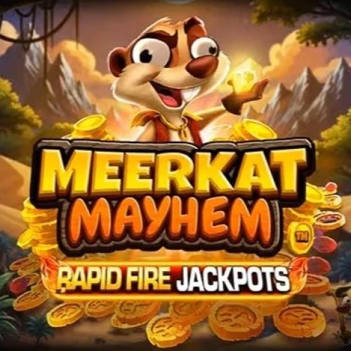 Meerkat Mayhem (Blueprint)