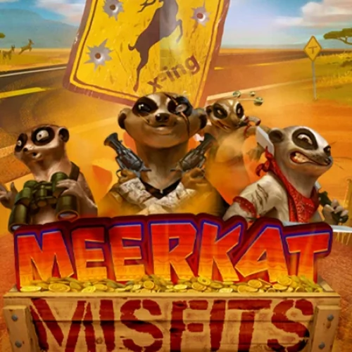 Meerkat Misfits