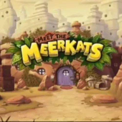 Meet the Meerkats
