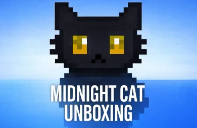 Midnight Cat Unboxing