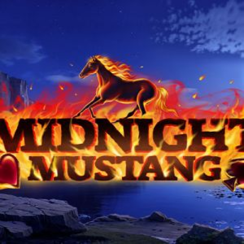 Midnight Mustang