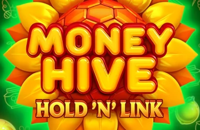 Money Hive Hold 'N' Link