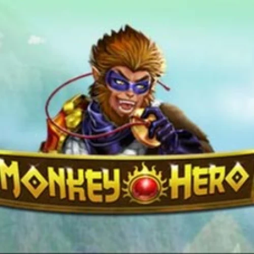 Monkey Hero