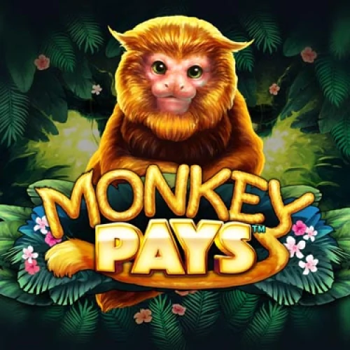 Monkey Pays