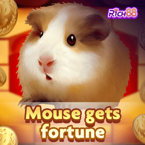 Mouse Gets Fortune
