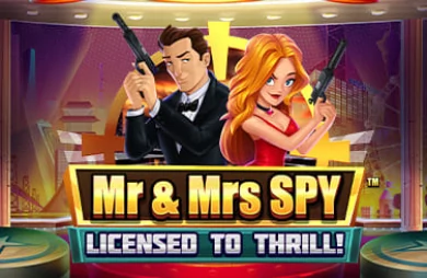 Mr and Mrs Spy