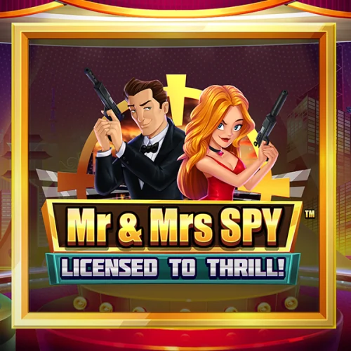 Mr and Mrs Spy