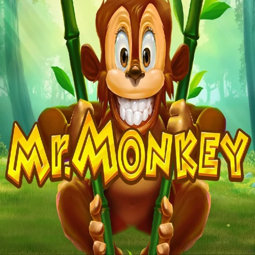 Mr. Monkey