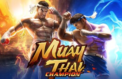 Muay Thai Champion