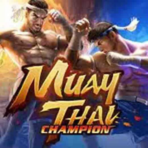 Muay Thai Champion