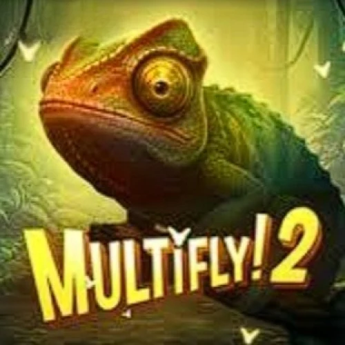 MultiFly 2