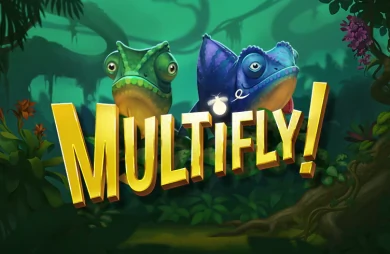 MultiFly