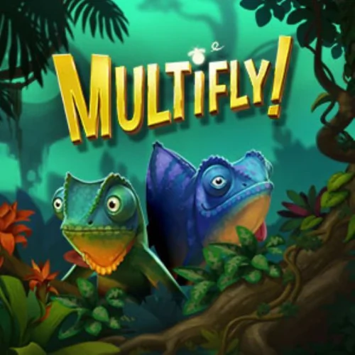 MultiFly
