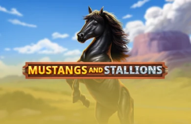 Mustang and Stallions