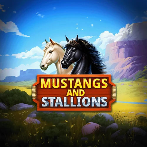 Mustang and Stallions