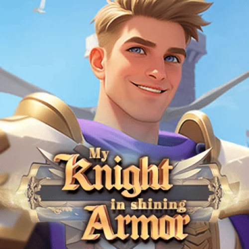 My Knight In Shining Armor