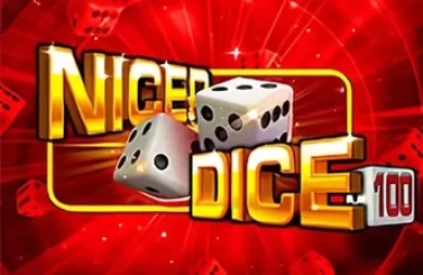 Nicer Dice 100