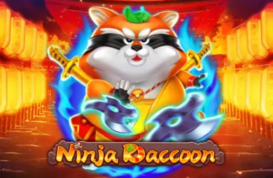 Ninja Raccoon
