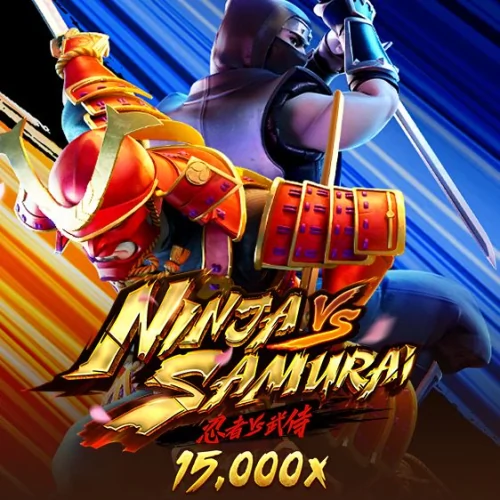Ninja vs Samurai