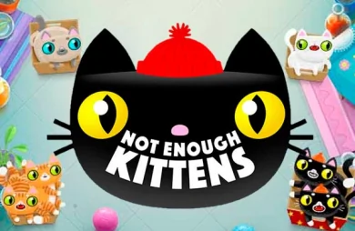 Not Enough Kittens