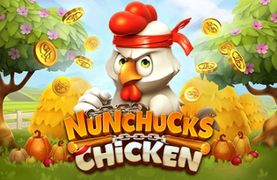 Nunchucks Chicken