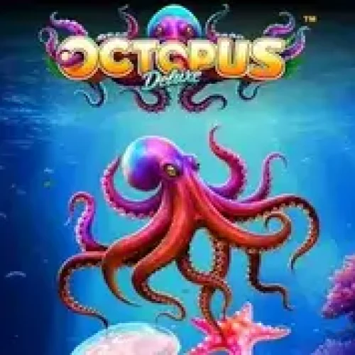Octopus Deluxe