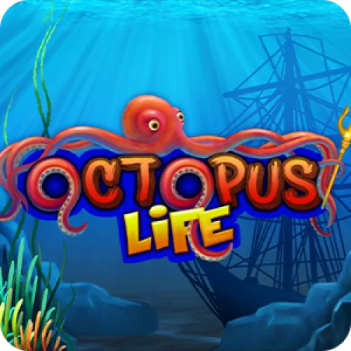 Octopus Life