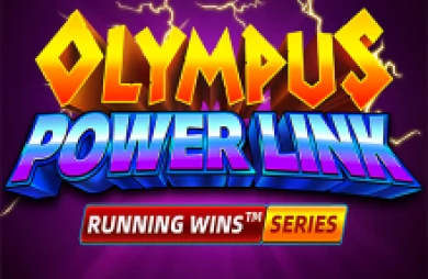 Olympus Power Link