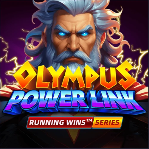 Olympus Power Link