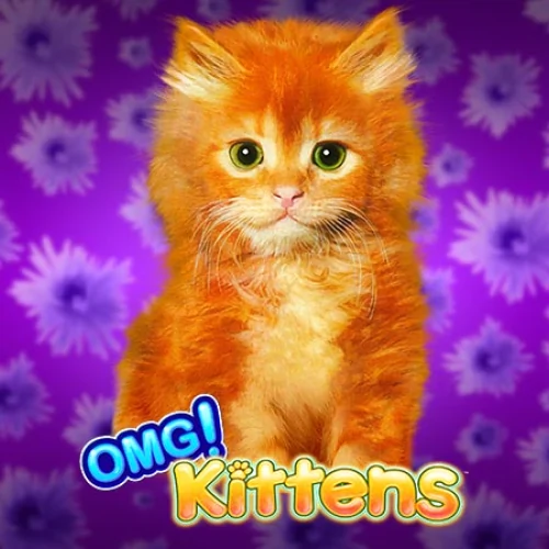 OMG! Kittens