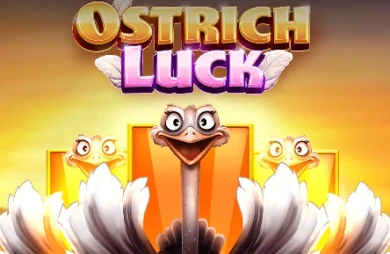 Ostrich Luck