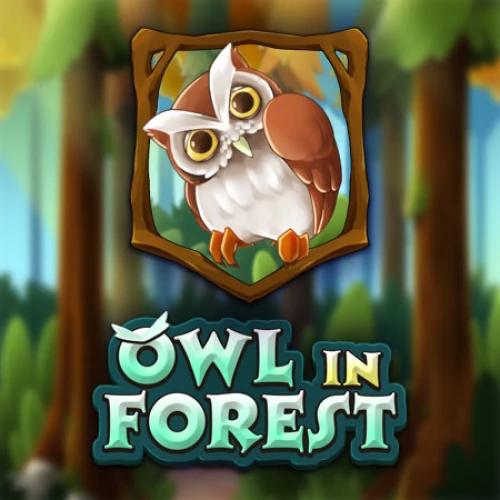 Owl In Forest