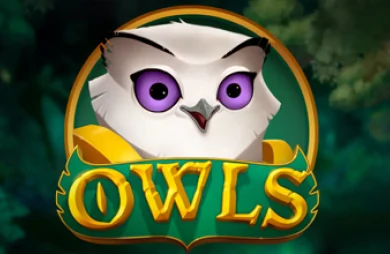 Owls