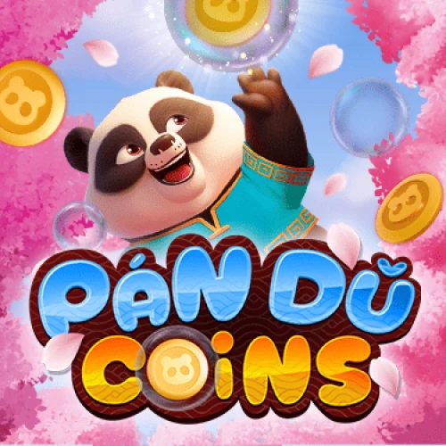 Pan Du Coins
