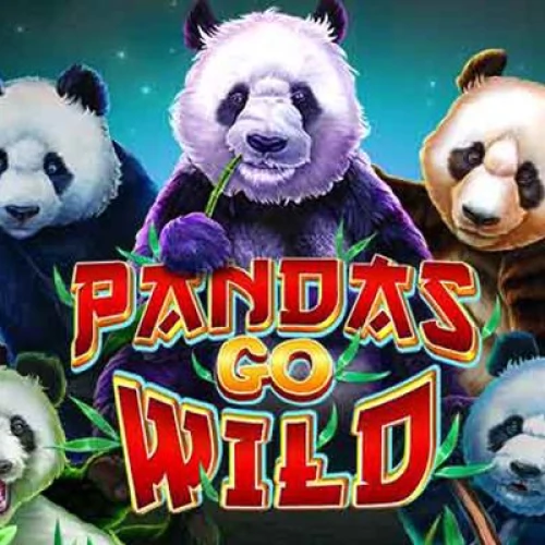 Pandas Go Wild
