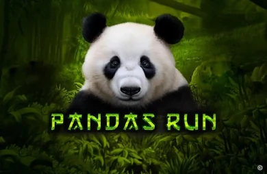 Panda's Run