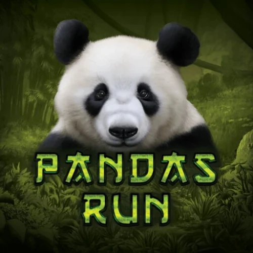 Panda's Run