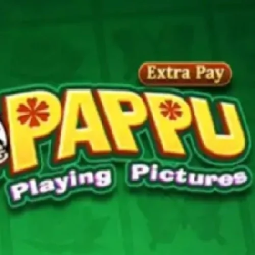 Pappu Playing Pictures