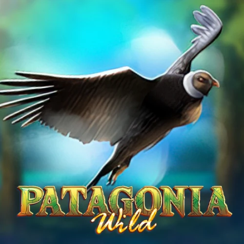 Patagonia Wild