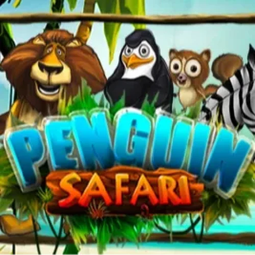Penguin Safari