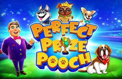 Perfect Prize Pooch
