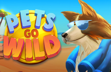 Pets Go Wild
