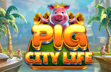 Pig City Life