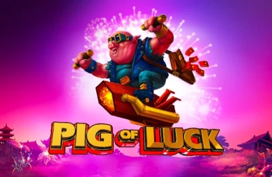Pig of Luck
